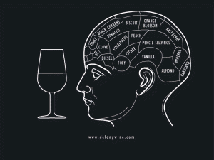 This is your brain on wine.